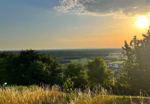 22-06-15 20-23-47 1101